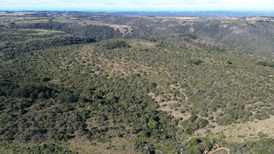 Commercial Property for Sale in Komga Eastern Cape